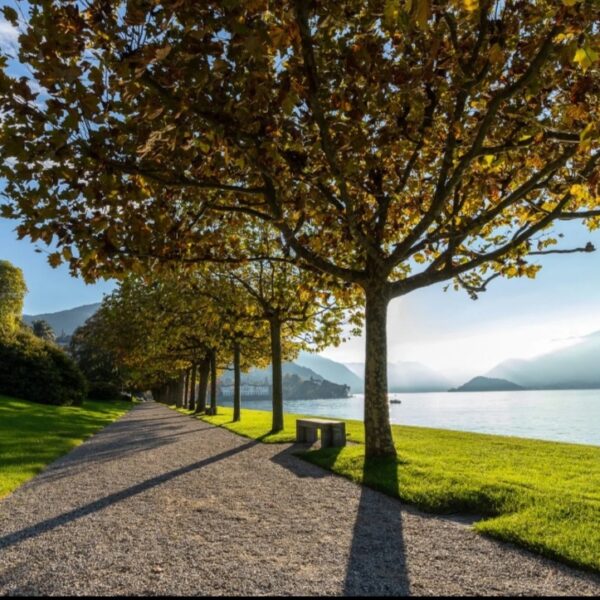 Autunno a Bellagio + Giardini di Villa Melzi – 26 Ottobre 2024