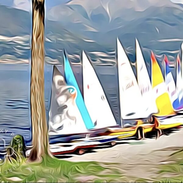 Sailing on the lake! – 27 July